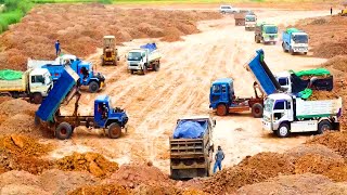 Wow Awesome Many Dump Truck5T Lineup Waiting Unloading&Komats'u D53P Dozer Grading Install New Road