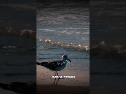 Dr Israr Bayyan #lines