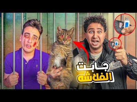 قطه مرعبه جبتلي لوكيشن الحسن 💔 #3