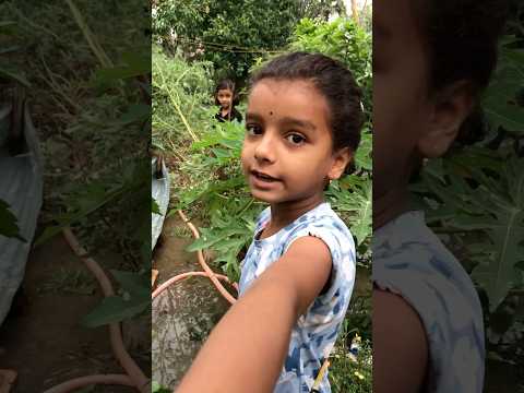 সবাই কেন এসেছে আর কি দেখতে এসেছে❤️🥰😱#shotrs #rivaalivabiswas #cute