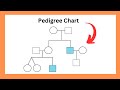 Understanding Pedigree Charts