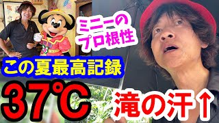 過酷／この夏最高気温37℃！グリも直後に熱キャンセル・体感50℃近くの東京ディズニーシー