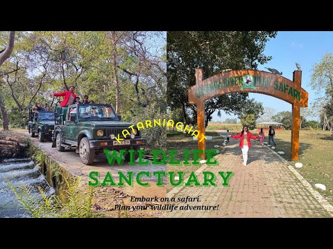 katarniaghat Wildlife Sanctuary - A hidden tiger sanctuary of Uttar Pradesh, India#shraddhasinghlaw