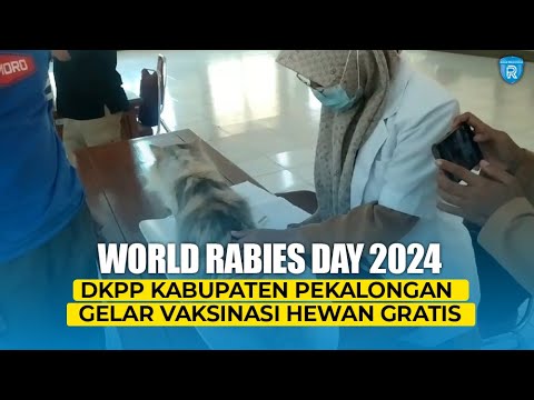 World Rabies Day 2024, DKPP Kabupaten Pekalongan Gelar Vaksinasi Hewan Gratis