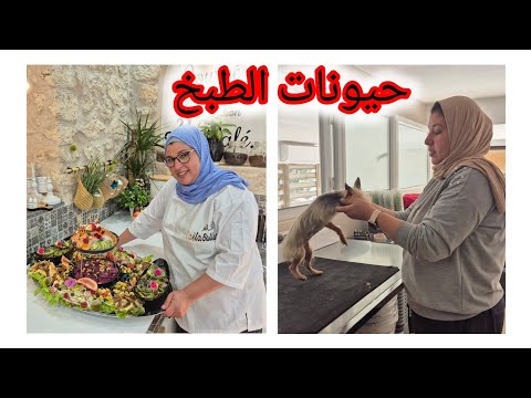 اليوم جاوبتك  اختي على السؤال  ديالك واش انا خدامة في مجال الطبخ ولا قطاع الحيونات تعاليق الخاوية🫣🫣