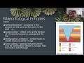Fossil Dating and Geological Time Scale