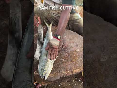 | KASIMEDU SPEED SELVAM MAHI MAHI FISH CUTTING SKILLS |??
