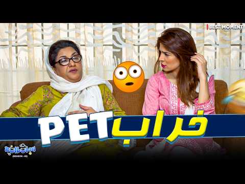 Best Moment - Momo Ka Pet Warr Gaya! 😝 | Momo & Khoobsurat | Bulbulay | Comedy 2026
