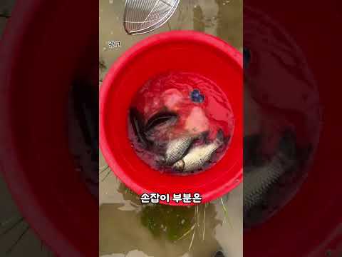 낚시의 시초템