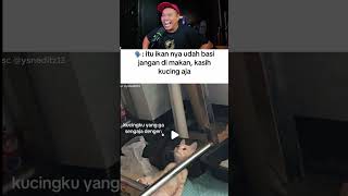 kasian kucing #shorts