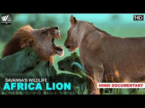 सवाना जंगल- हिन्दी डॉक्यूमेंट्री | Savanna's Wildlife Africa Lion | Kings of African Wildlife.