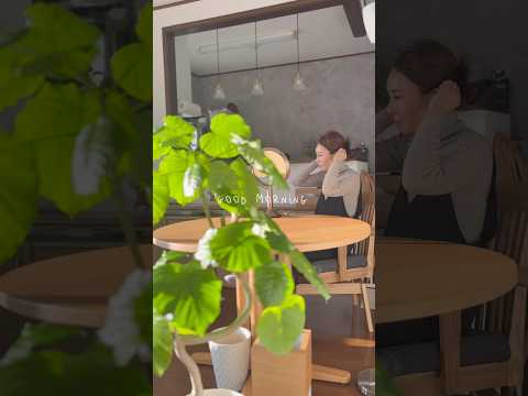 観葉植物に癒される朝 #50代  #観葉植物#暮らし#shorts