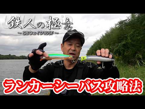 【ランカーシーバス編】オールシーズン使えるウェイクベイト SBウェイク165でのリバーシーバス攻略法｜Wild Trip/鉄人・松岡豪之（1706）