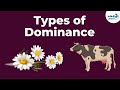 Exploring Types of Dominance in Genetics
