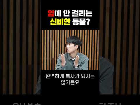 암에 안 걸리는 신비한 동물?