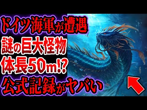 ドイツ海軍が遭遇...謎の巨大怪物...体長５０m！？...公式記録がヤバい【ゆっくり解説】【巨大生物】