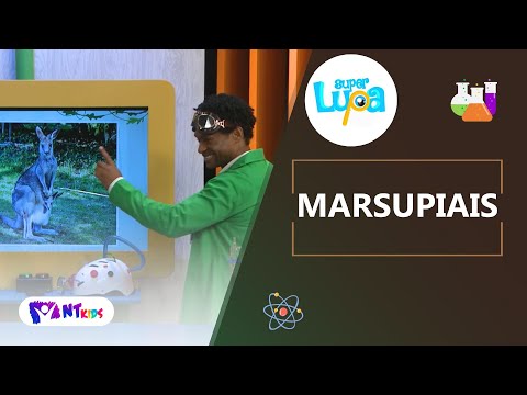 MARSUPIAIS - SUPER LUPA