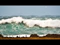 Natural Disasters and Their Impacts