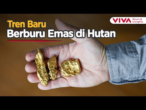 Harga Emas Meroket, Ribuan Orang Berburu Harta Karun di Hutan