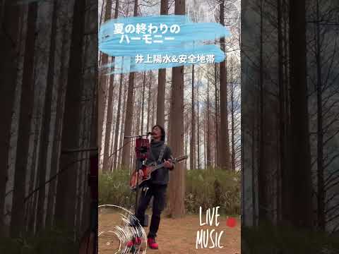 夏はとっくに終わってしまいましたが…🎸　#夏の終わりのハーモニー #井上陽水 #安全地帯 #カバー曲 #弾き語り #大工さんはギタリスト #歌ってみた #ギター #東京