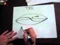 Understanding Harmonic Overtones in Music