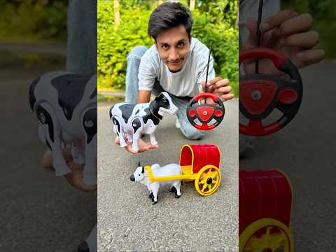 2 Guta Goru Remote control Wali Bail gaadi unboxing😱