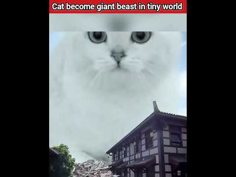 Cat become giant beast in tiny world ๐ฑ #shorts #viral