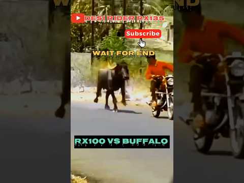 YAMAHA RX100 SOUND BUFFALO REACTION 😱 || WAIT FOR END