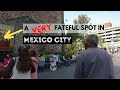 Museum of Mexico City Insights