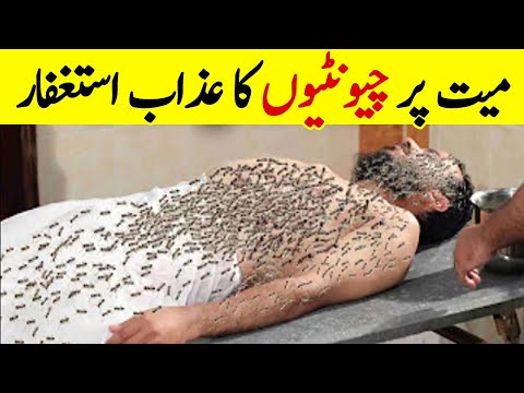 Mayyat Par Choontio (Ants) Ka Azab