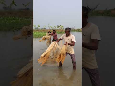 Fishing in river