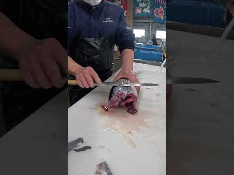 【職人】カツオ捌く