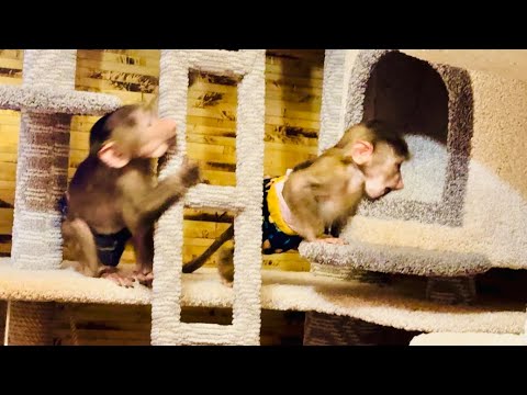 Я посадила на горку игрушечную обезьяну и Маря со Степой перестали ее бояться!