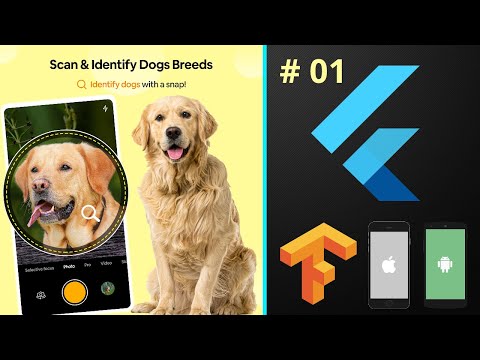 Dog Breed Identification using TensorFlow Image Classification Kaggle Solution – Flutter Course 2022