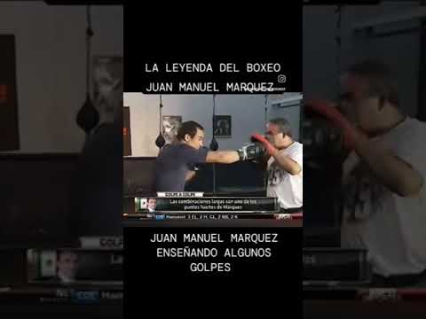 Juan Manuel marquez enseñando algunos golpes #boxeo #boxingtraining #boxing #boxingworkout #ufc