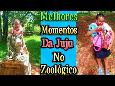 Melhores momentos da Juju no zoológico