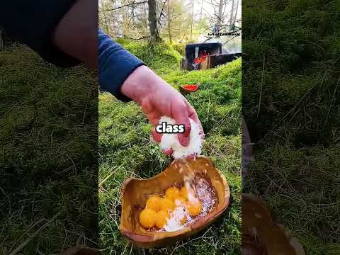 My students use SIGN LANGUAGE during class and I found out something HORRIFIC.