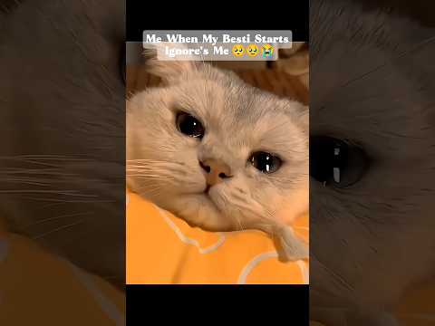 Tera___Yaar__Hoon_Main This_pain💔🥺_#aesthetic_#shorts_#trending_#40ksubs_#munibakiduniya