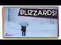 Understanding Blizzards