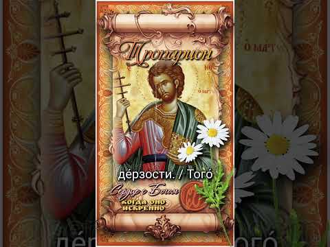 31 июля Мученик Емилиан (363г)