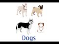 Understanding Dog Ownership
