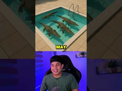 Swimming Pool According To Your Birth Month🎂🍰