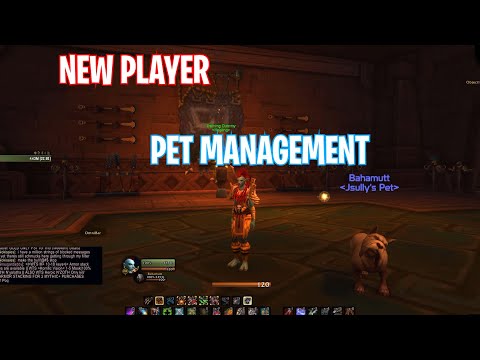 BFA 8.3 | New Hunter Pet Management Macros