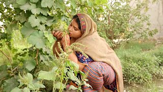 Angur dahkty hi muh ma pani ha gy  |village food Punjab|@desirangmehvishkesang