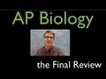 AP Biology Concepts and Strategies