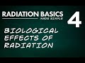 Effects and Understanding of Radiation
