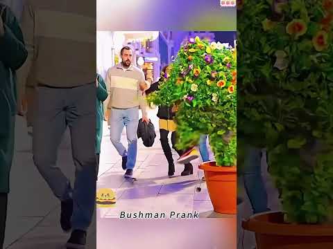Bushman prank #funny #bushmanprank #bushmanscare #funnyshorts #fypyoutube #fyp