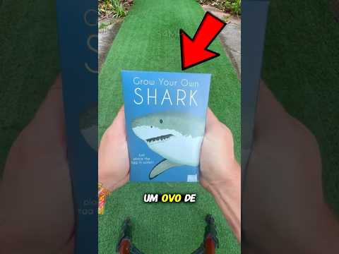 🦈 Ele comprou um ovo de tubarão e olha o que nasceu… 😱