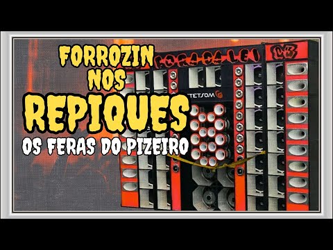 FORROZIN NOS REPIQUES | OS FERAS DO PIZEIRO | ESPECIAL PRA PAREDÃO