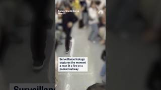 Surveillance video shows suspect lighting fire on packed Seoul subway